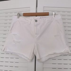 AG Adriano Goldschmied Boy Pit Khaki White Shorts